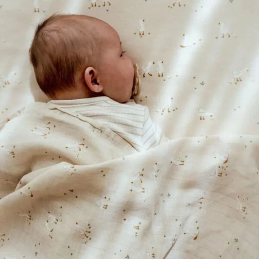 Little Dutch - Odejica - Little Goose (70x100)