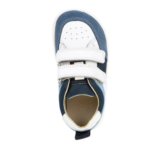 Froddo - Otroški bosonogi čevlji Zeru Loop - Blue (G3130282)
