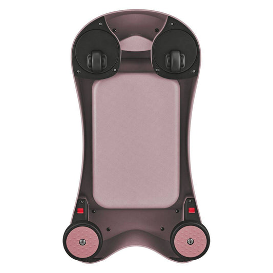 Globber - Poganjalec/sprehajalec Walker&Ride on - Roza