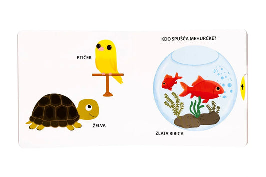 Epistola - Moji hišni ljubljenčki