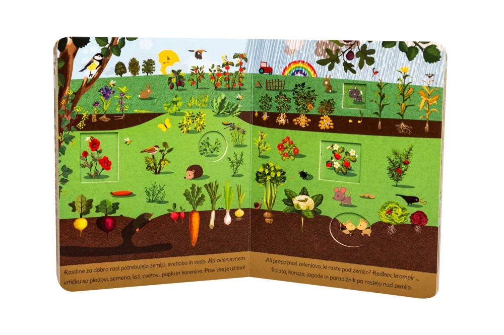 Epistola - Od semena do sadeža