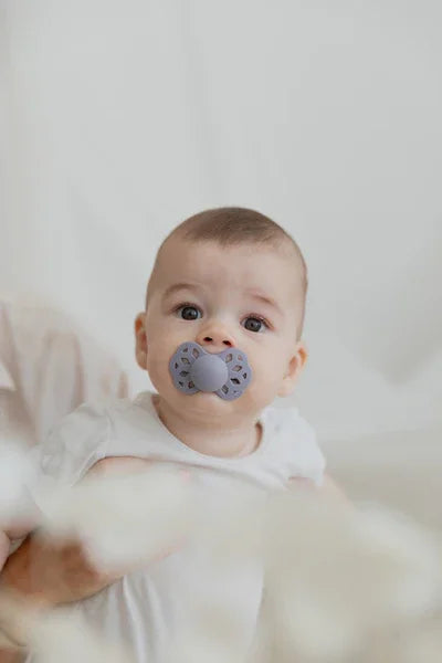 BIBS - Anatomska duda Infinity, silikon - Fossil Grey/Mauve - 165111 Luxbaby