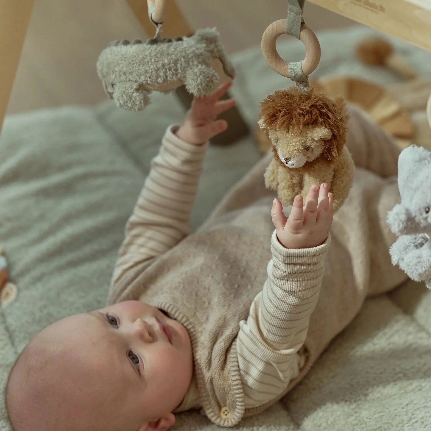 Little Dutch - Lesen igralni lok - Safari Friends