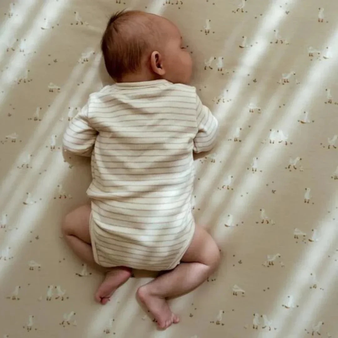 Little Dutch - Odejica - Little Goose (70x100)