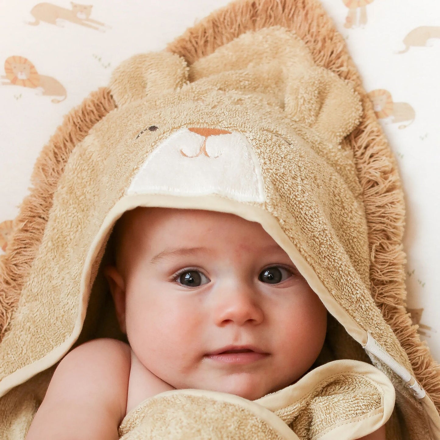 Little Dutch - Darilni paket - Lion