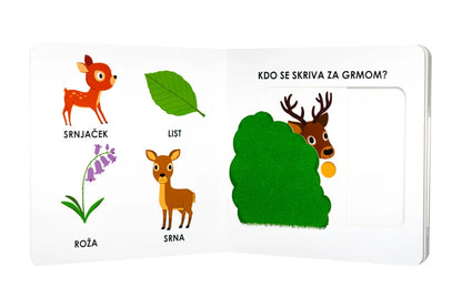 Epistola - Moje gozdne živali - 9789617082586 Luxbaby