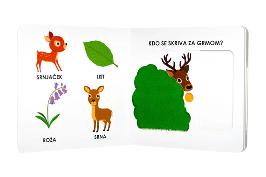 Epistola - Moje gozdne živali - 9789617082586 Luxbaby