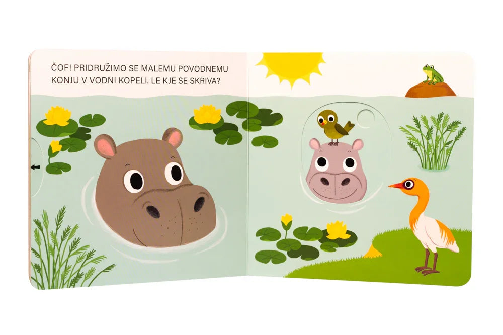 Epistola - Pozdravljen, mali povodni konj - 9789617180336 Luxbaby