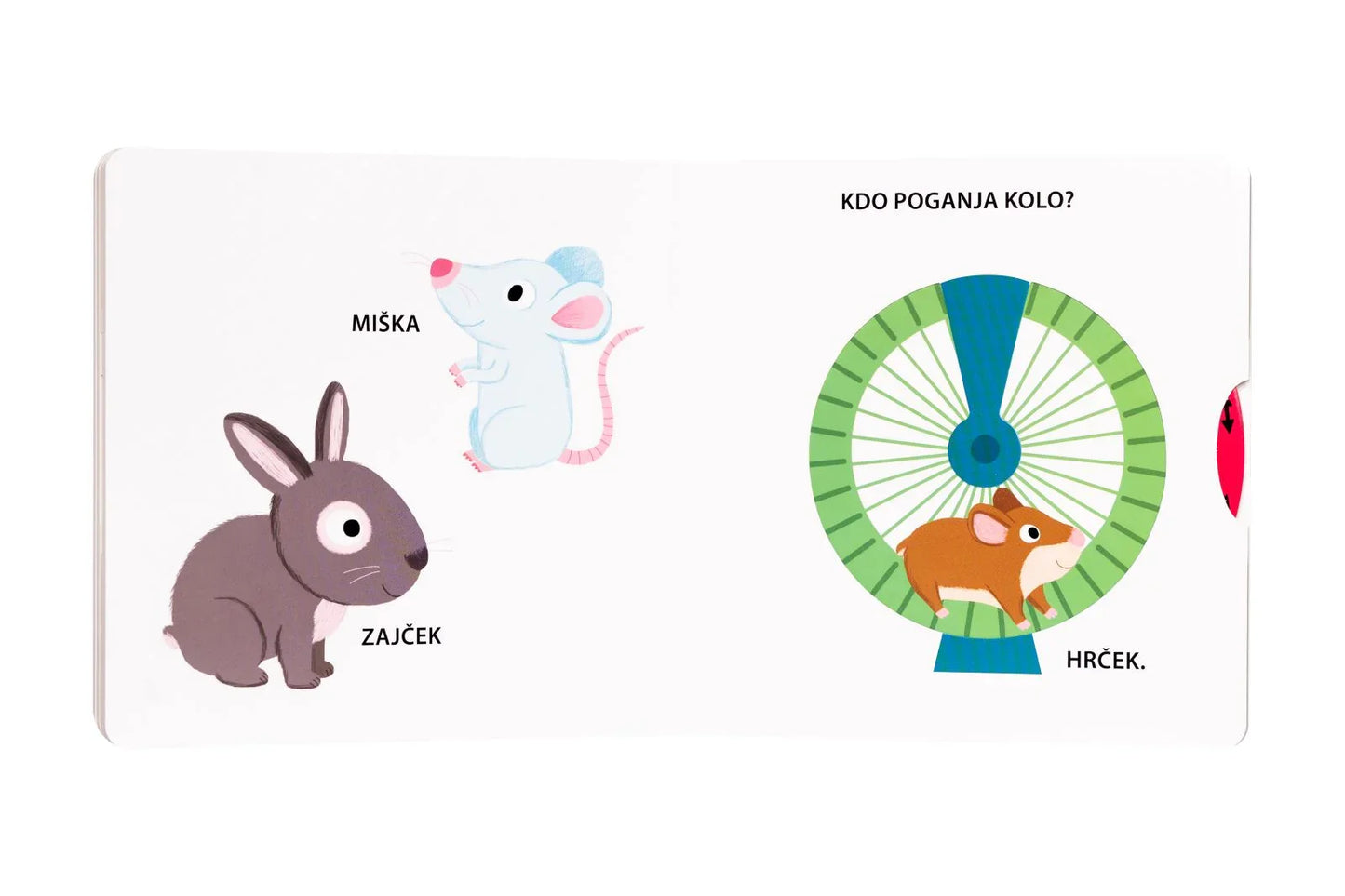 Epistola - Moji hišni ljubljenčki - 9789617180718 Luxbaby