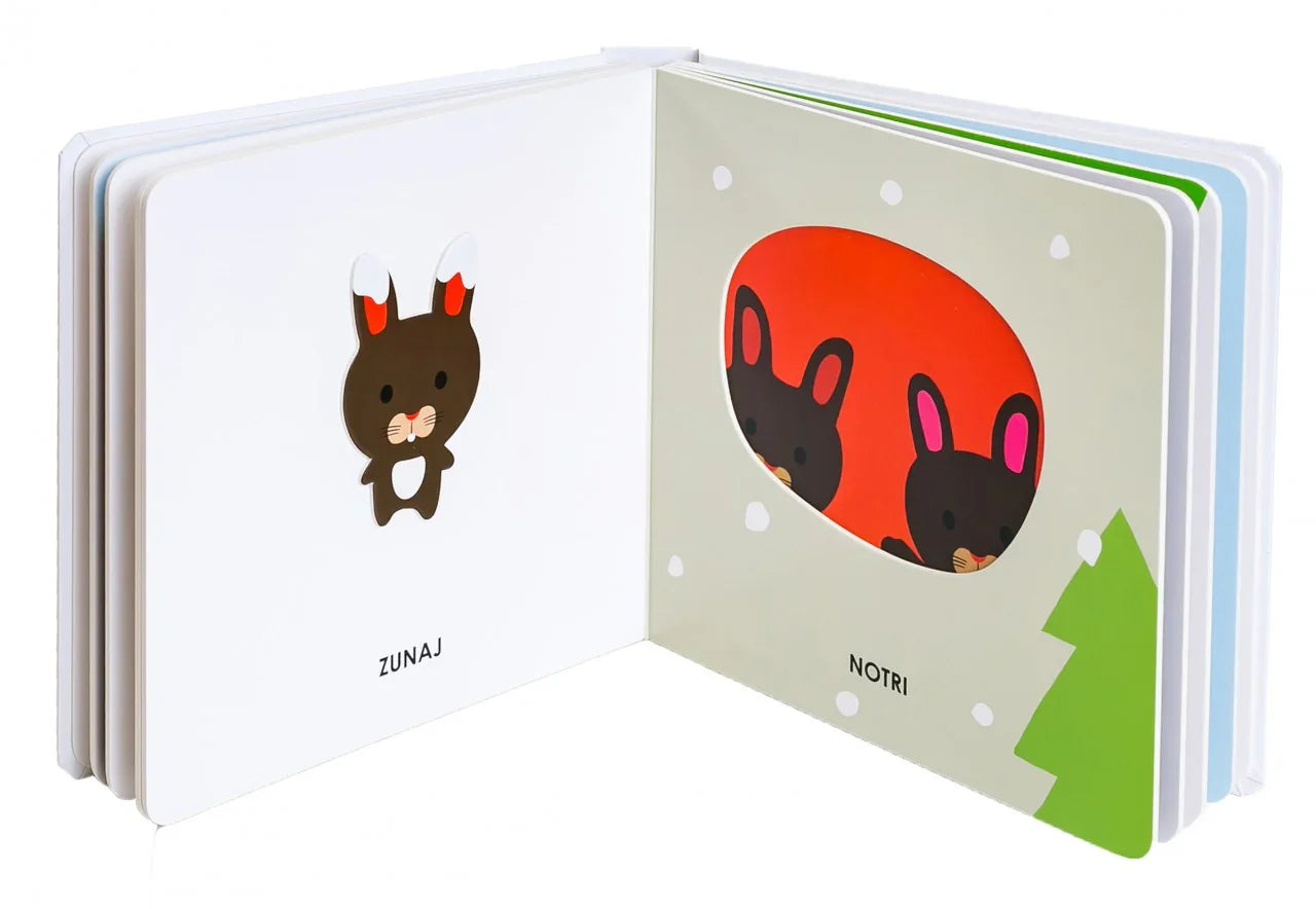 Epistola - Nasprotja - 9789616976848 Luxbaby