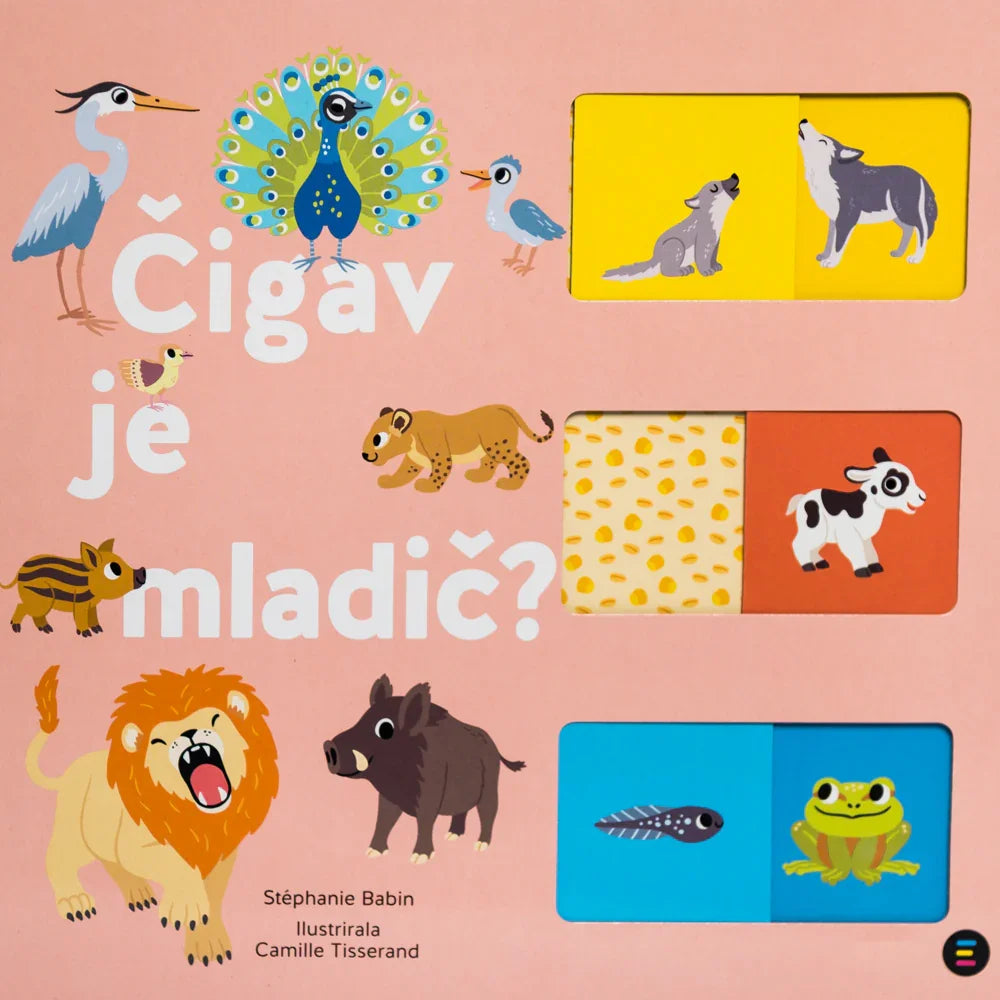 Epistola - Čigav je mladič - 9789617082708 Luxbaby