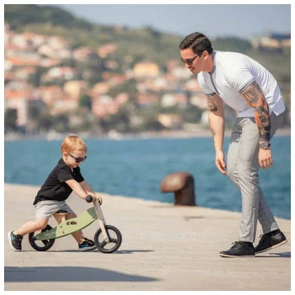 Free2Move - Leseni tricikel in poganjalec Rider 2v1 - Green - 974161 Luxbaby