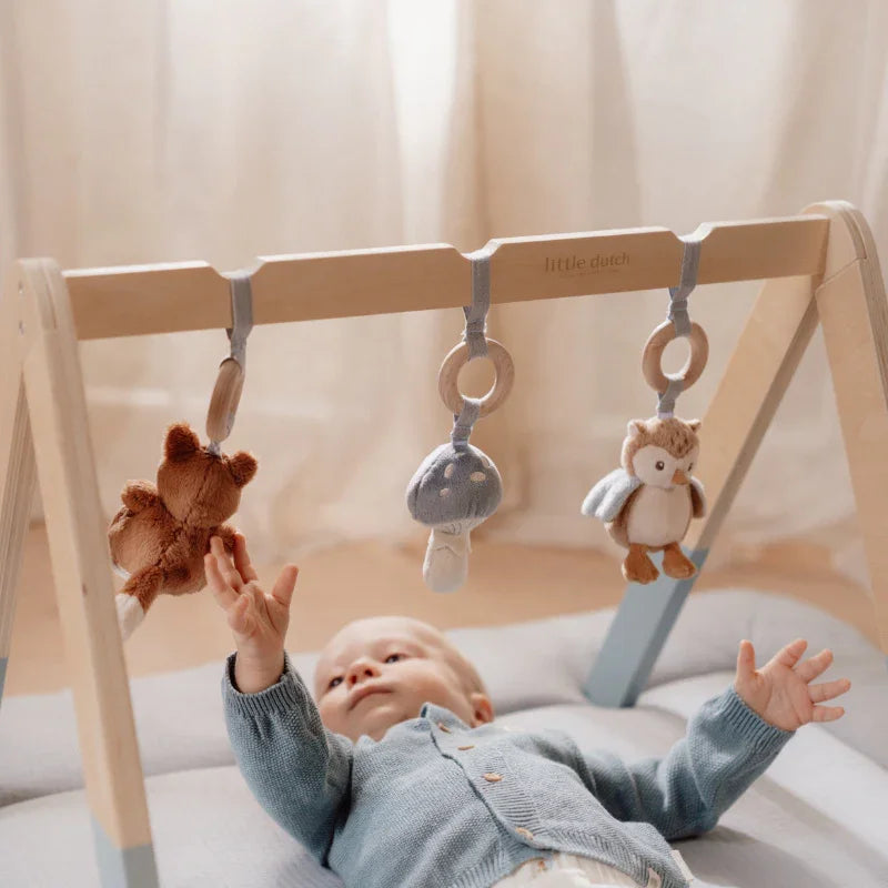 Little Dutch - Lesen igralni lok - Forest Friends - LD8910 Luxbaby