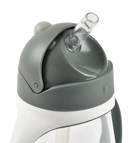 Beaba - Steklenička s slamico 300ml - Mineral Grey
