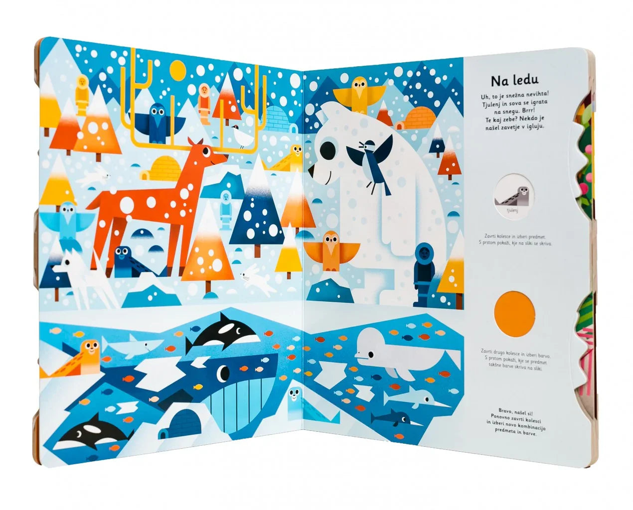 Epistola - Okoli sveta - 9789616976862 Luxbaby