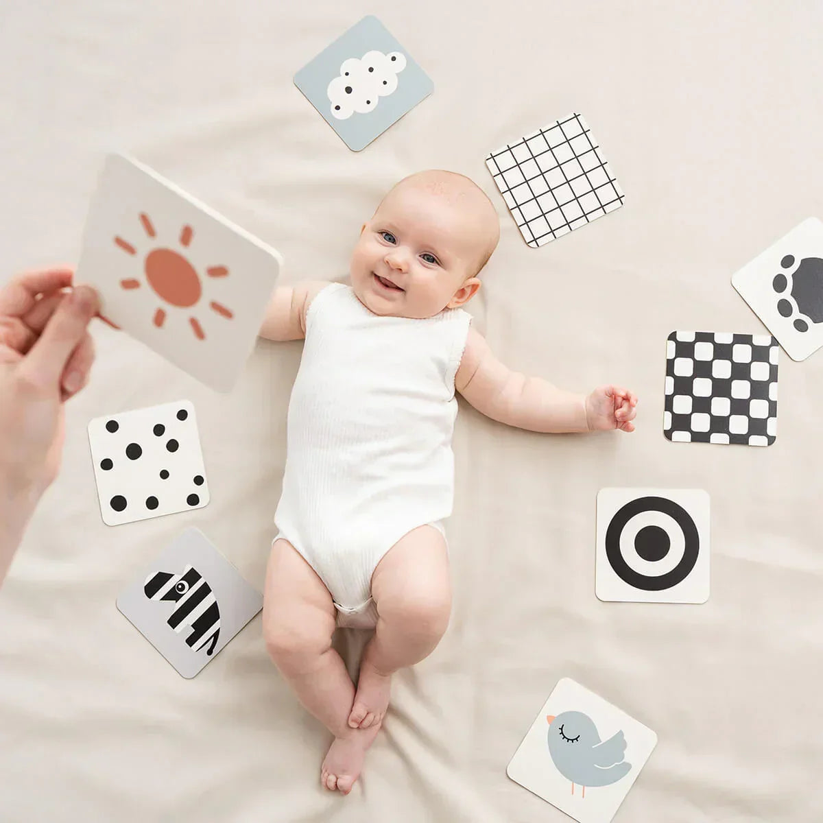 Done by Deer - Kontrastne kartice - Prijatelji jelena