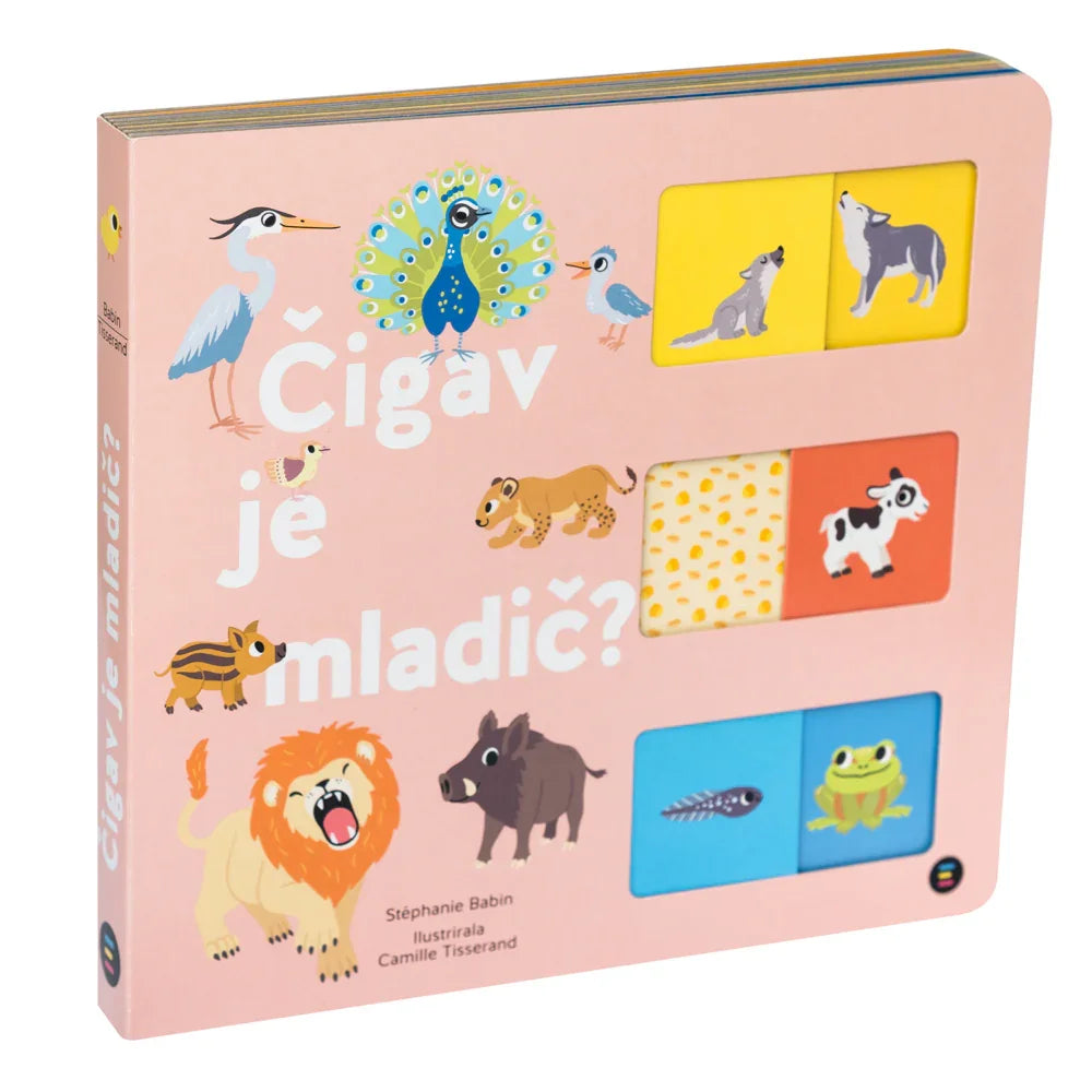 Epistola - Čigav je mladič - 9789617082708 Luxbaby