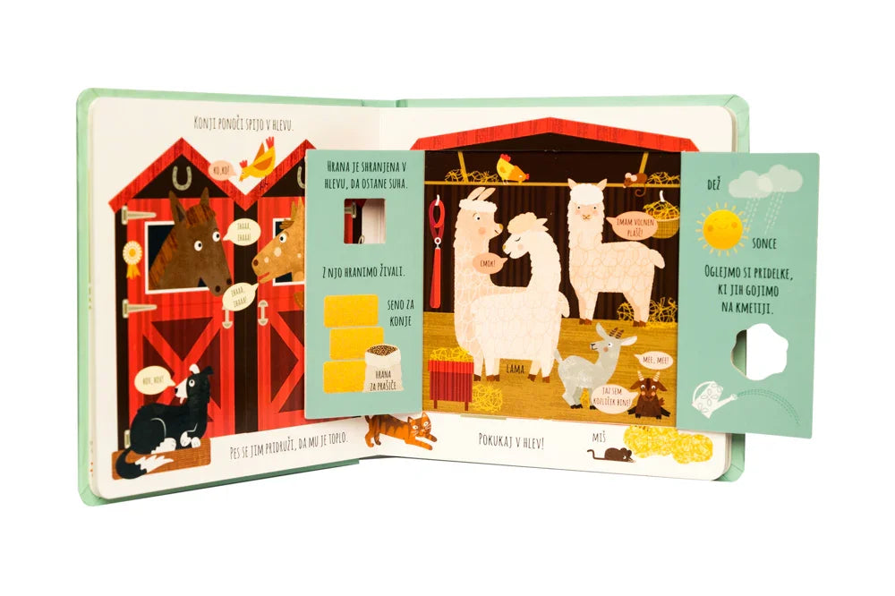 Epistola - Kmetija - 9789617180046 Luxbaby