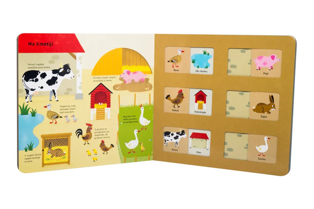 Epistola - Kje kdo živi? - 9789617082715 Luxbaby