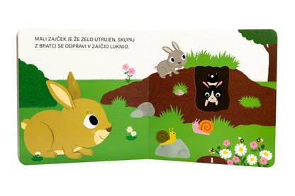 Epistola - Pozdravljen, mali zajček - 9789617180343 Luxbaby