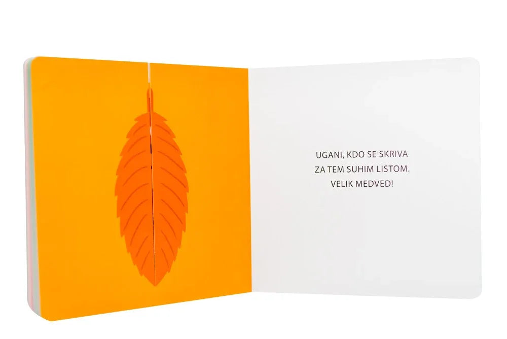 Epistola - Ugani kdo! - 9789617082401 Luxbaby