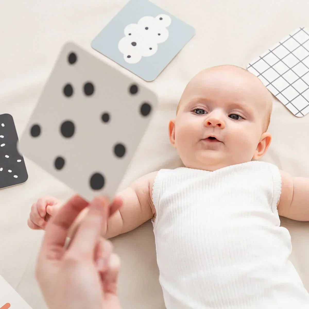 Done by Deer - Kontrastne kartice - Prijatelji jelena