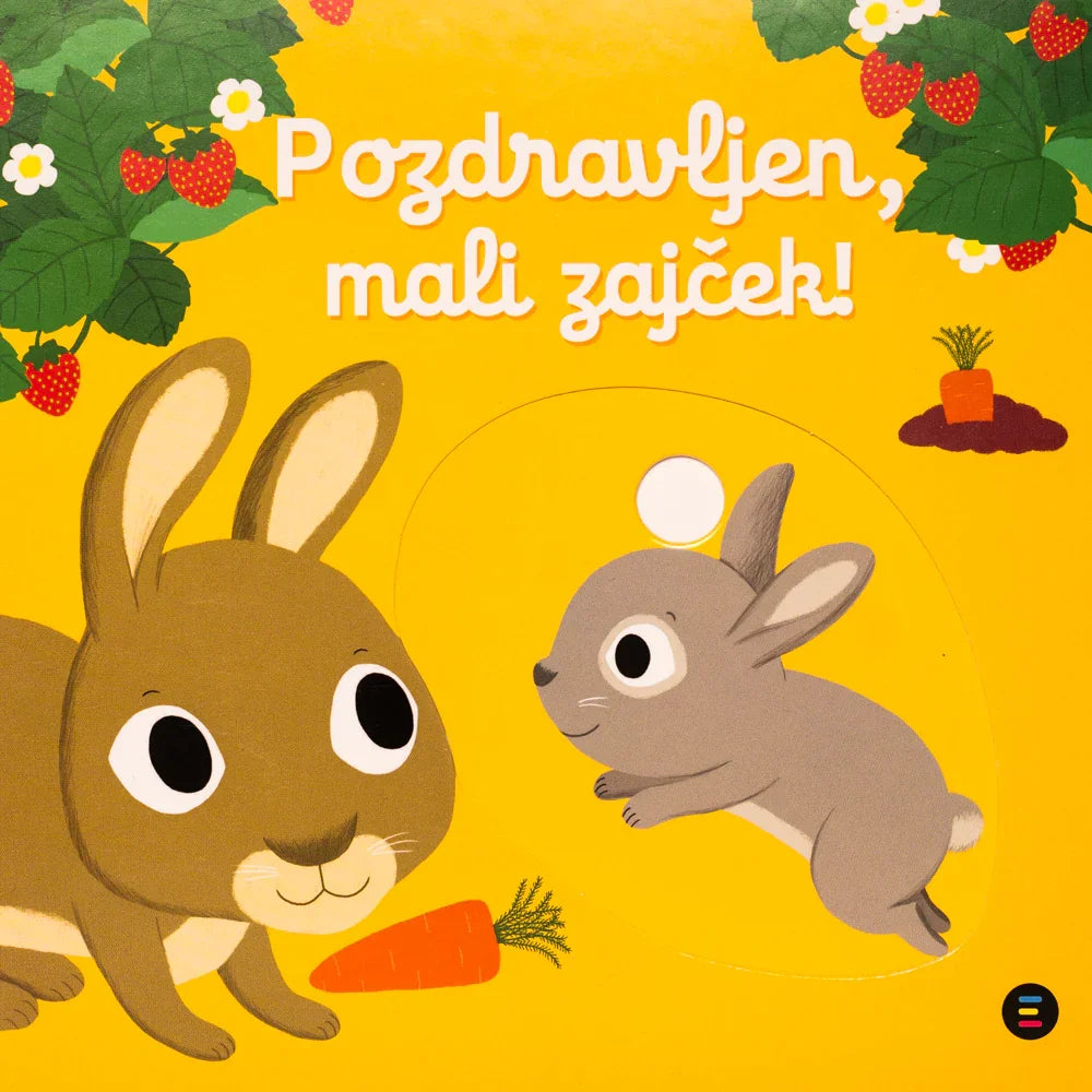 Epistola - Pozdravljen, mali zajček - 9789617180343 Luxbaby