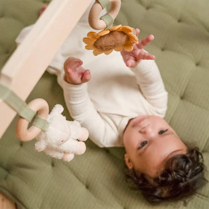 Little Dutch - Lesen igralni lok Little Farm - LD8810 Luxbaby