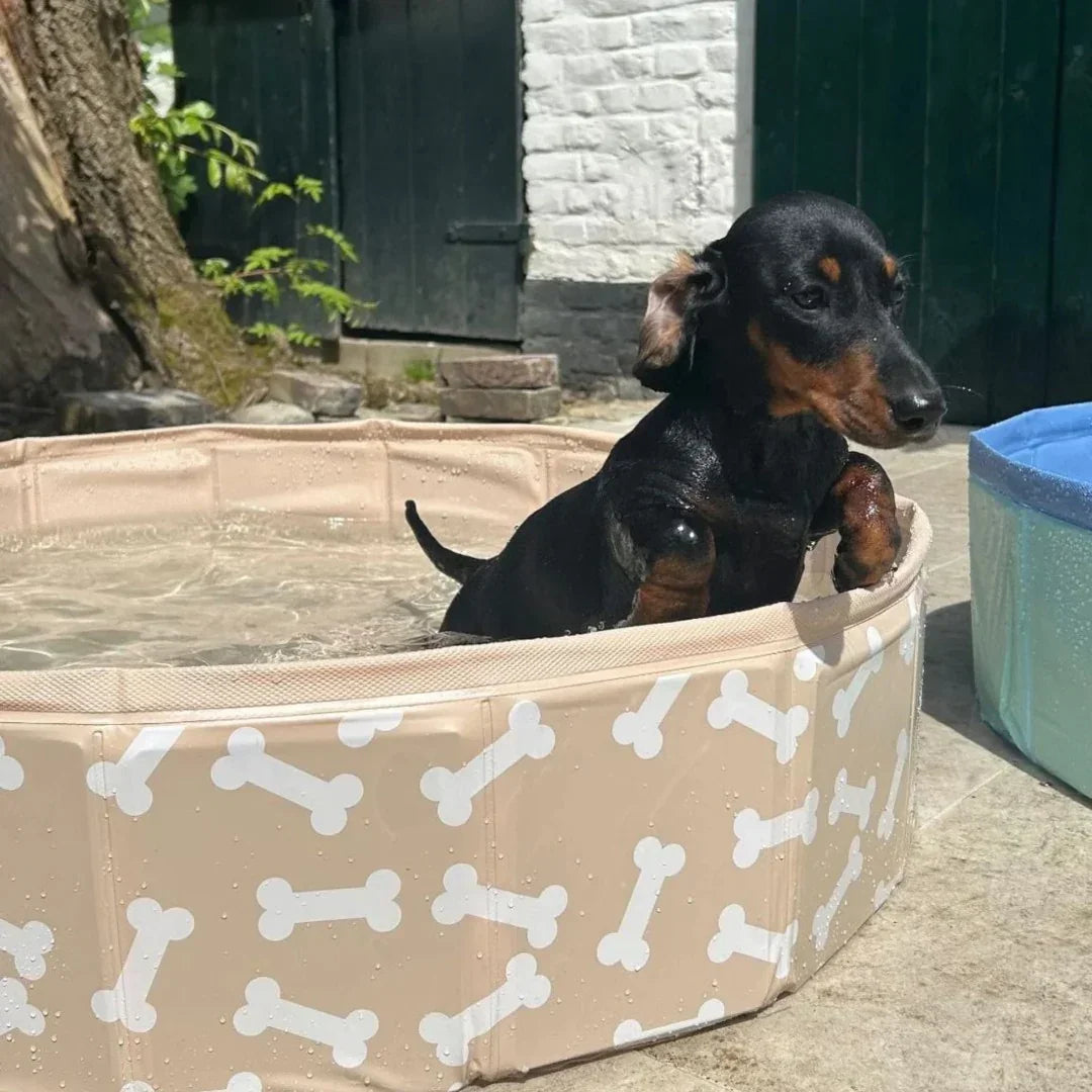 Swim Essentials - Bazen za kužke - Beige Bones